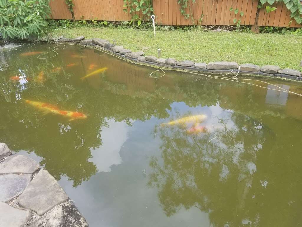 Kodama Koi Garden FL | Lot B, 7250 Griffin Rd, Davie, FL 33314, USA | Phone: (954) 585-6181