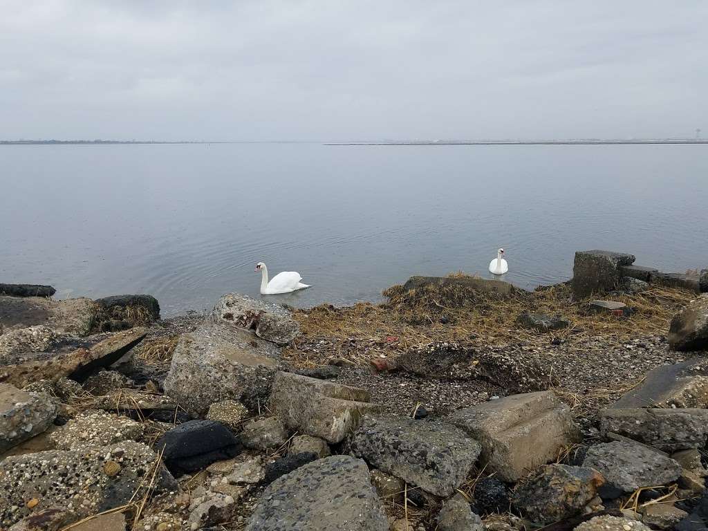 Brant Point Wildlife Sanctuary | Bayfield Ave, Arverne, NY 11692, USA