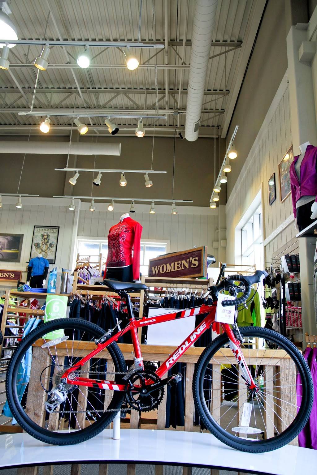 Bicycle Garage Indy & BGI Fitness - Greenwood | 997 E County Line Rd, Greenwood, IN 46143, USA | Phone: (317) 885-7194