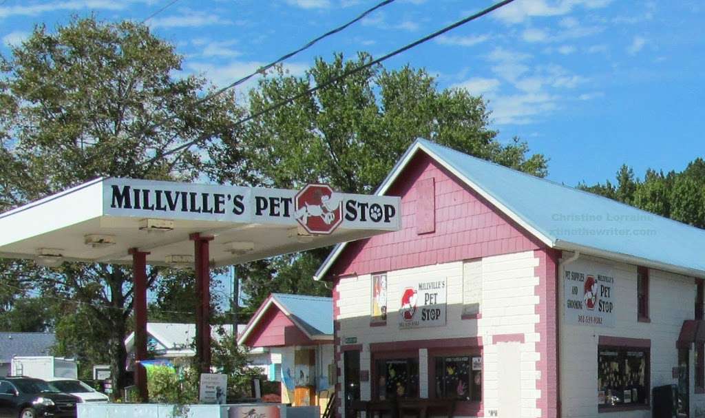 Millvilles Pet Stop | 35167 Atlantic Ave, Millville, DE 19967, USA | Phone: (302) 539-9382