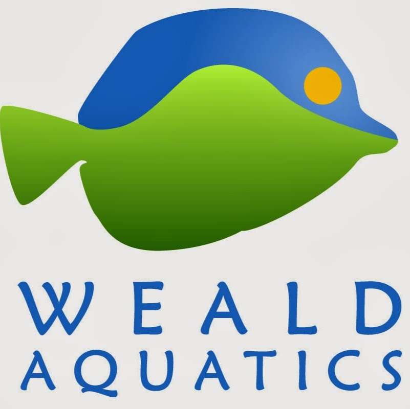 Weald Aquatics | Main Rd, Knockholt, Sevenoaks TN14 7LJ, UK | Phone: 01959 532963