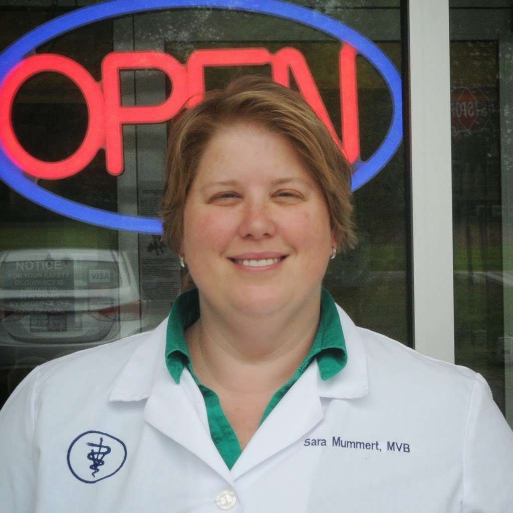 Dr Sara at Timberview Veterinary Hospital | 106 W Cabin Hollow Rd, Dillsburg, PA 17019, USA | Phone: (717) 432-2513