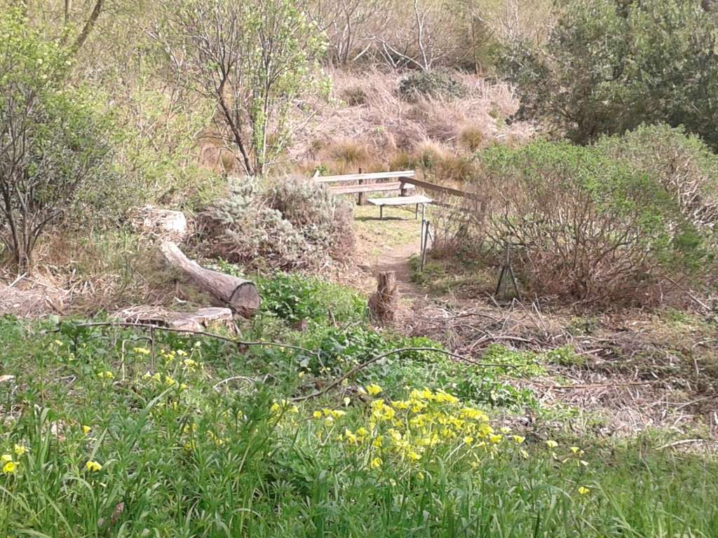 Crocker Gate Trail Head | Old Guadalupe Trail, Daly City, CA 94014, USA