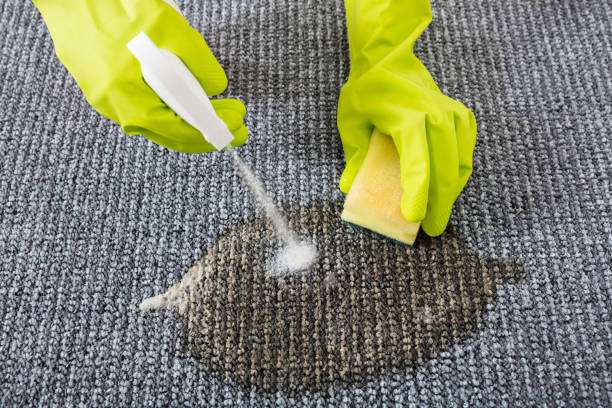 Ideal Carpet Care | 10266 Foothill Blvd, Lake View Terrace, CA 91342, USA | Phone: (818) 975-3424