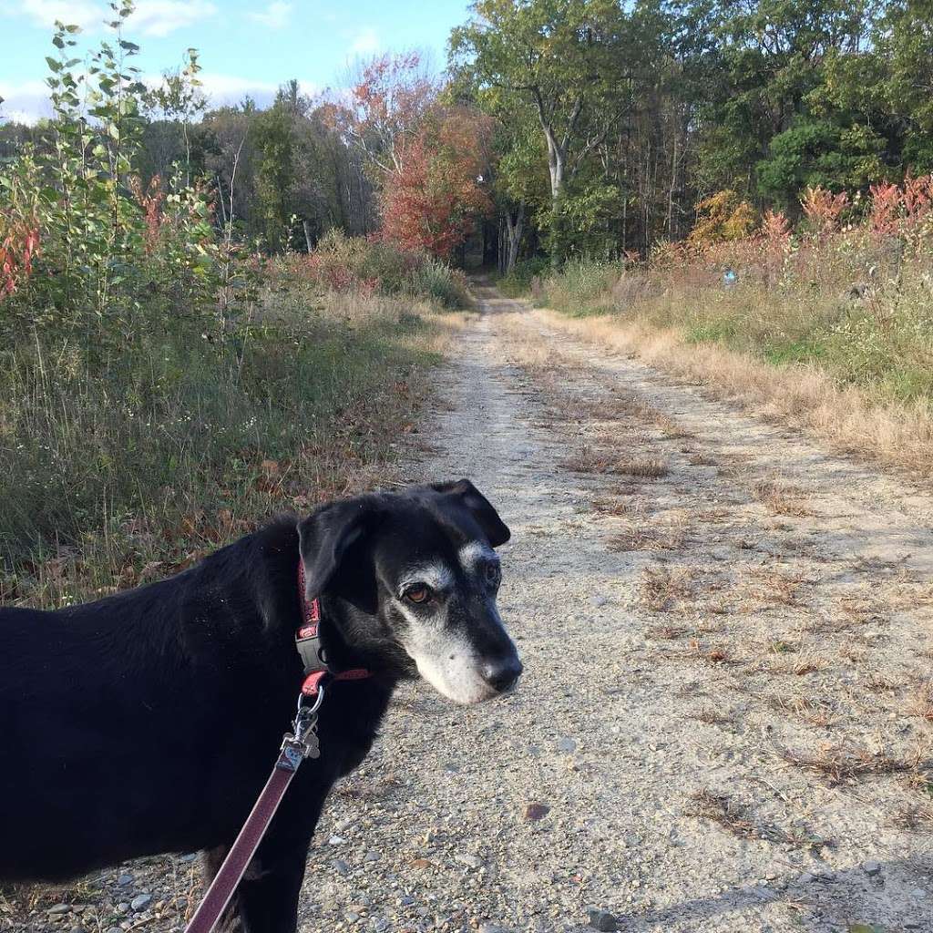 Seabrook Town Forest | Kensington, NH 03833, USA