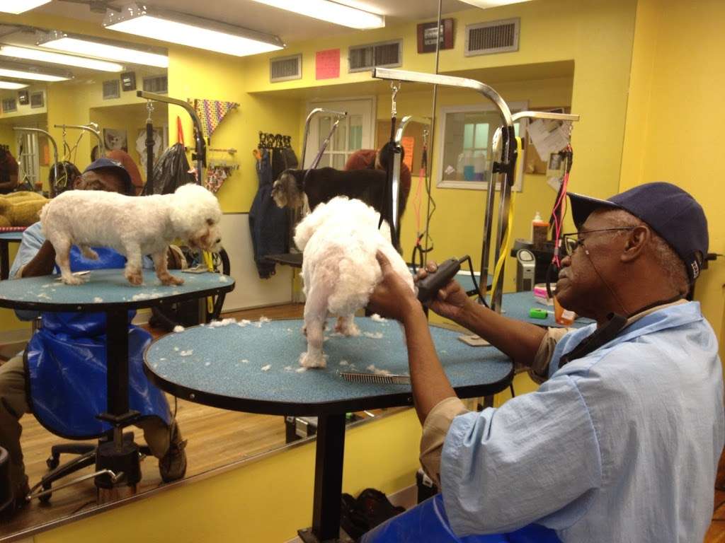 Houston Pet Grooming Academy | 6727 1/2 Weslayan St, Houston, TX 77005, USA | Phone: (713) 253-5757