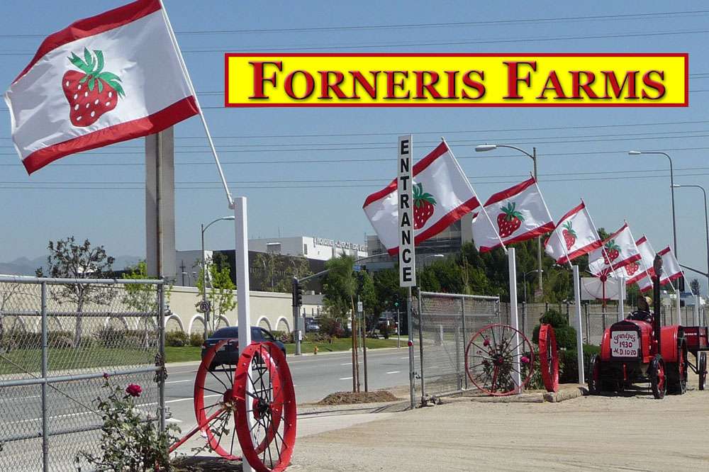 Forneris Farms | 15200 Rinaldi St, Mission Hills, CA 91345, USA | Phone: (818) 730-7707