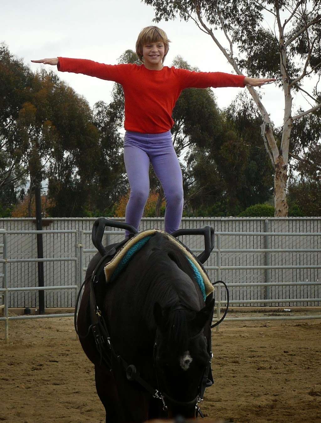 OC Equestrian Vaulting | 905 Arlington Dr, Costa Mesa, CA 92626, USA | Phone: (949) 355-7023