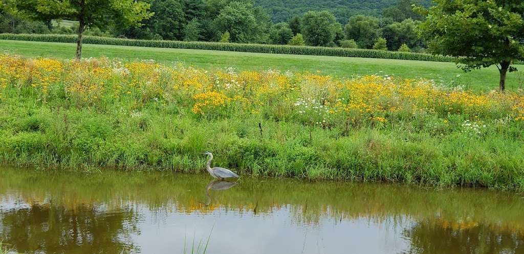 Chester Valley Trail Parking Area | 132 Church Farm Ln, Exton, PA 19341, USA | Phone: (610) 469-1916