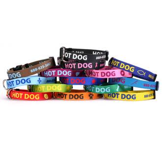 Hot Dog Collars MFG | 112 O Connor St, Greensboro, NC 27406, USA | Phone: (888) 635-3647