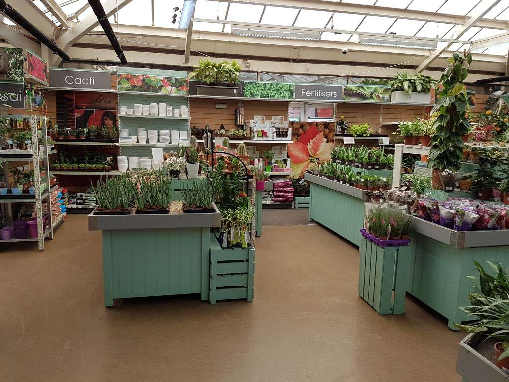 Chessington Garden Centre | Leatherhead Rd, Chessington KT9 2NG, UK | Phone: 01372 725638