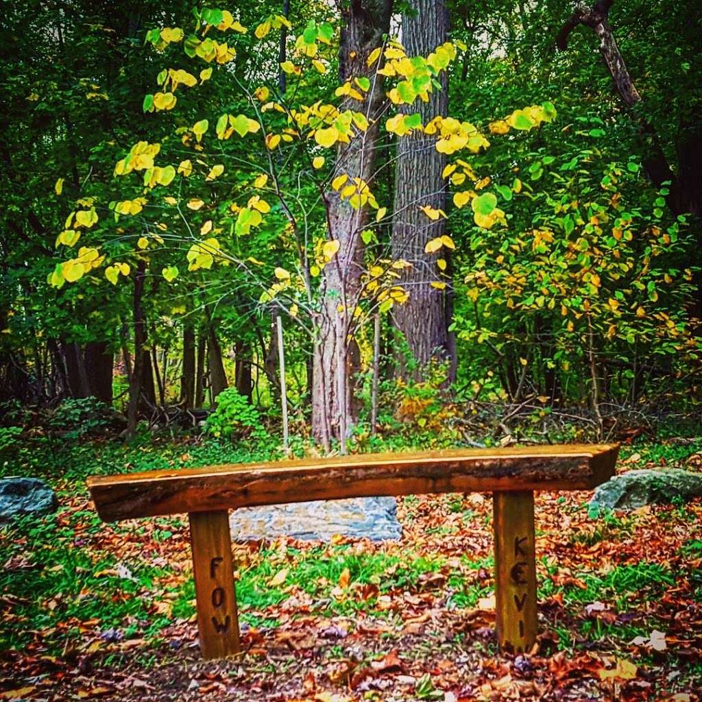 Wissahickon Environmental Center- Tree House | 300 W Northwestern Ave, Philadelphia, PA 19118, USA | Phone: (215) 685-9285