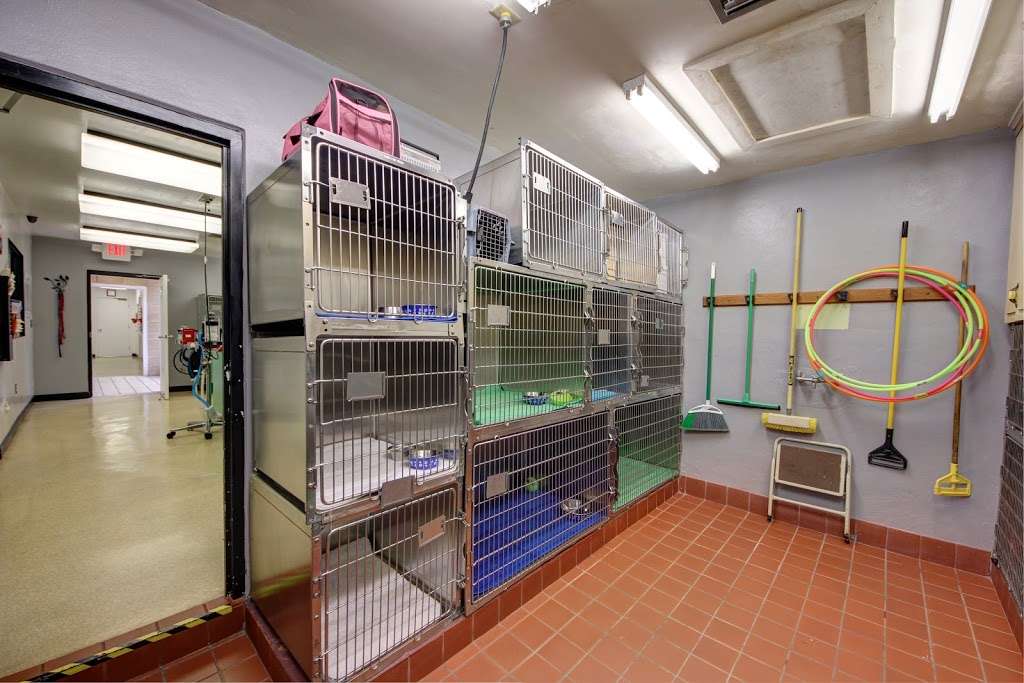 Maricamp Animal Hospital | 4485 SE 53rd Ave, Ocala, FL 34480, USA | Phone: (352) 624-0300