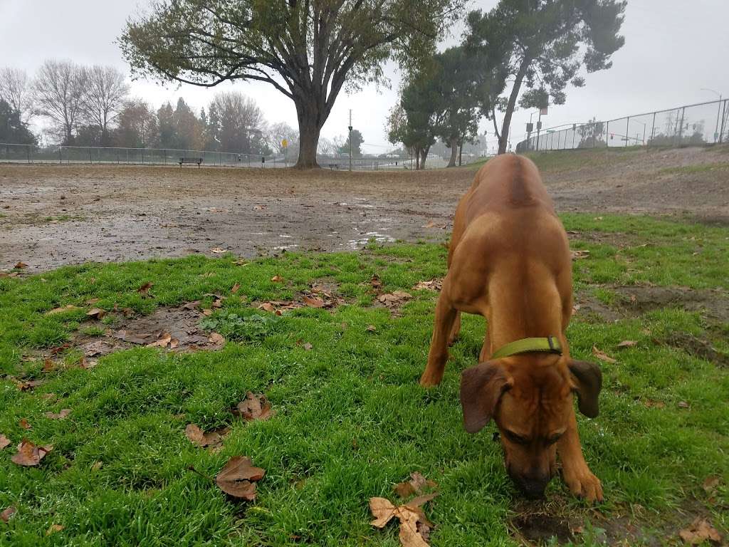 Home Run Dog Park | 20357 Studebaker Rd, Lakewood, CA 90713, USA | Phone: (562) 925-6912