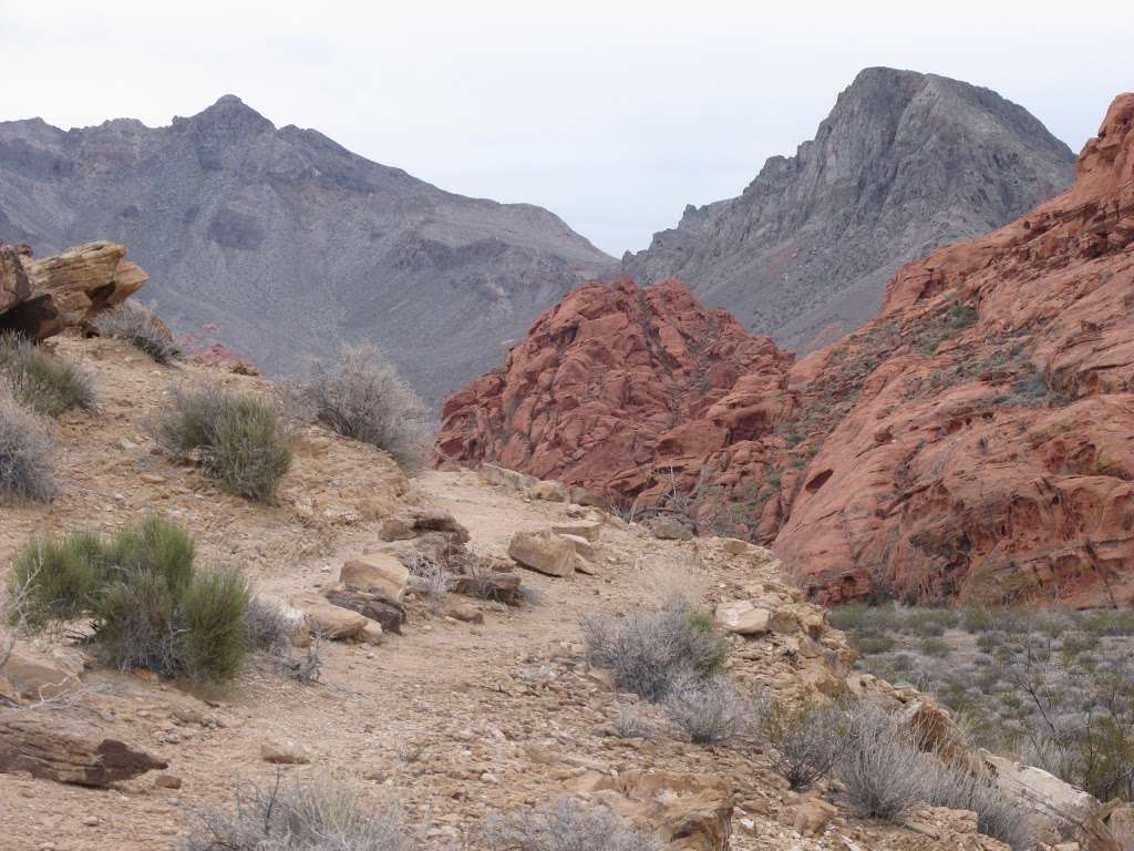 Beehives | Valley of Fire Hwy, Overton, NV 89040, USA