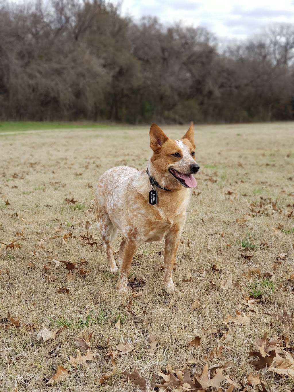 Euless Dog Park | 40621944, Euless, TX 76039, USA