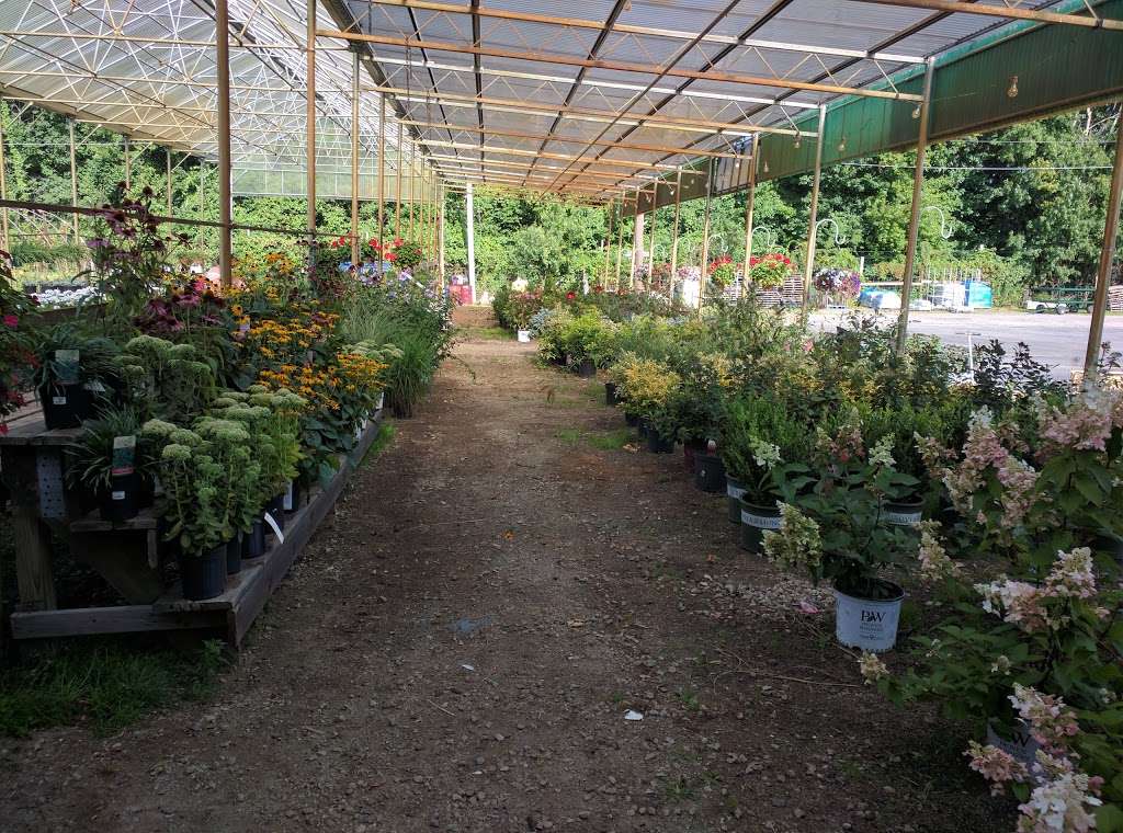 Scituate Nurseries | 767 Hartford Pike, North Scituate, RI 02857, USA | Phone: (401) 934-0581