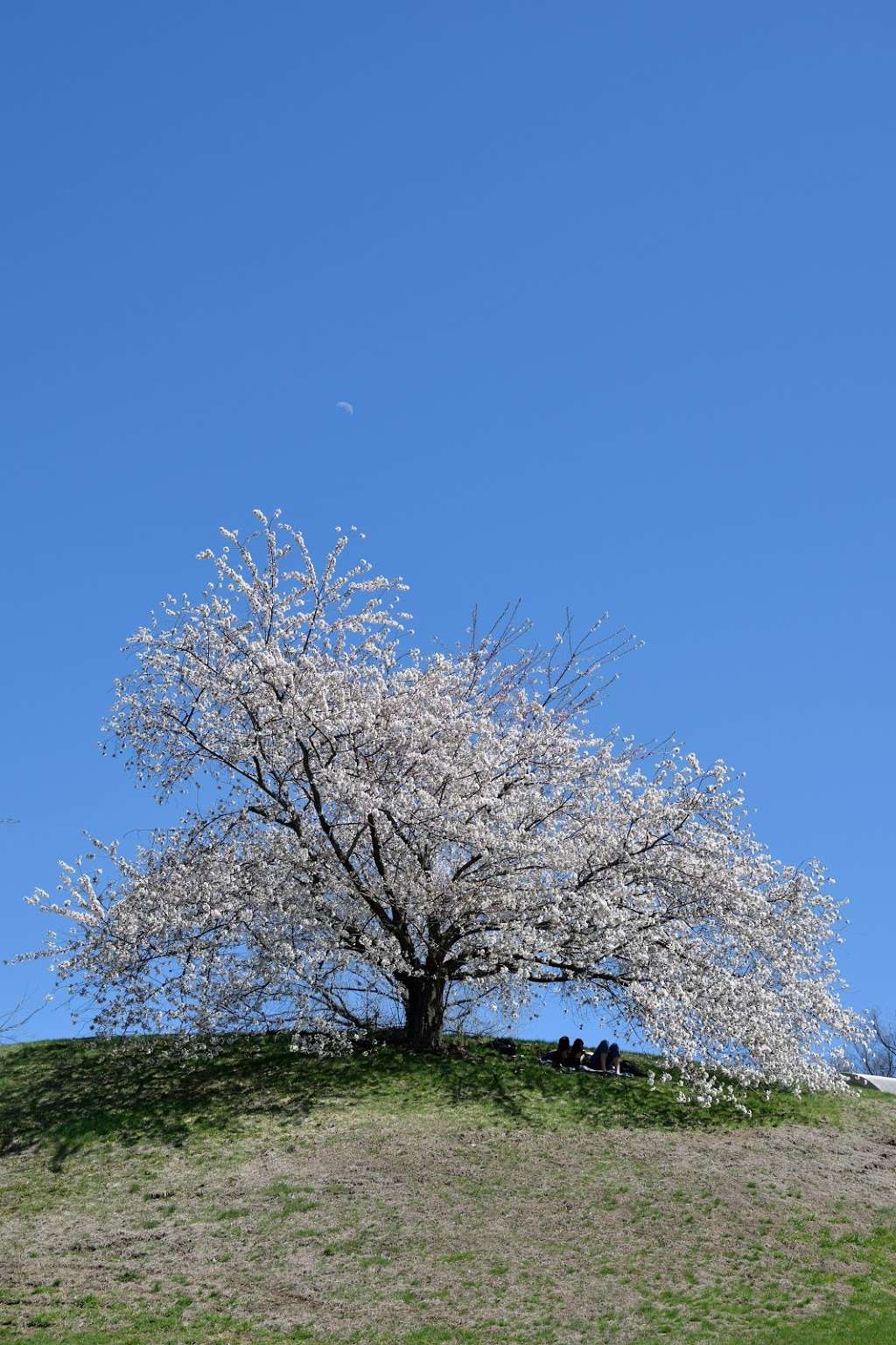 Green-Wood Cemetery Chapel | 500 25th St, Brooklyn, NY 11232, USA | Phone: (718) 768-7300