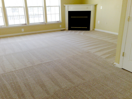 Annapolis Carpet Cleaning by Bella Roses of Anne Arundel County | 8013 Pine Ridge Rd, Pasadena, MD 21122, USA | Phone: (443) 221-9121