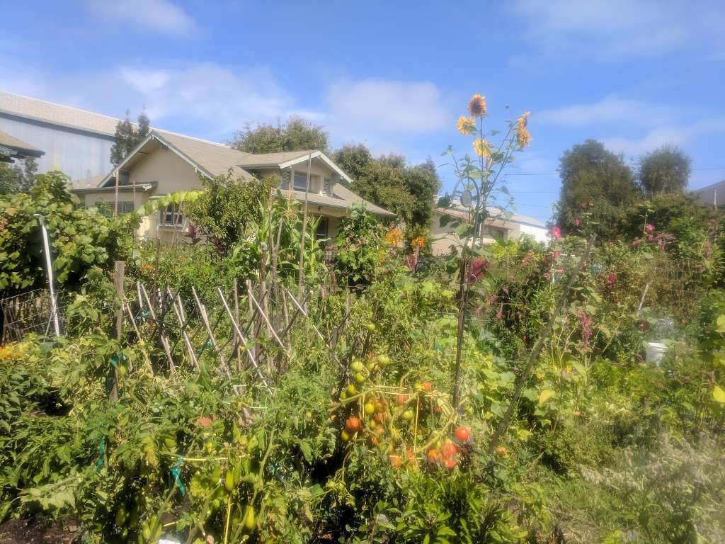 Bay Eagle Community GARDEN | Eagle Ave & Bay St, Alameda, CA 94501, USA