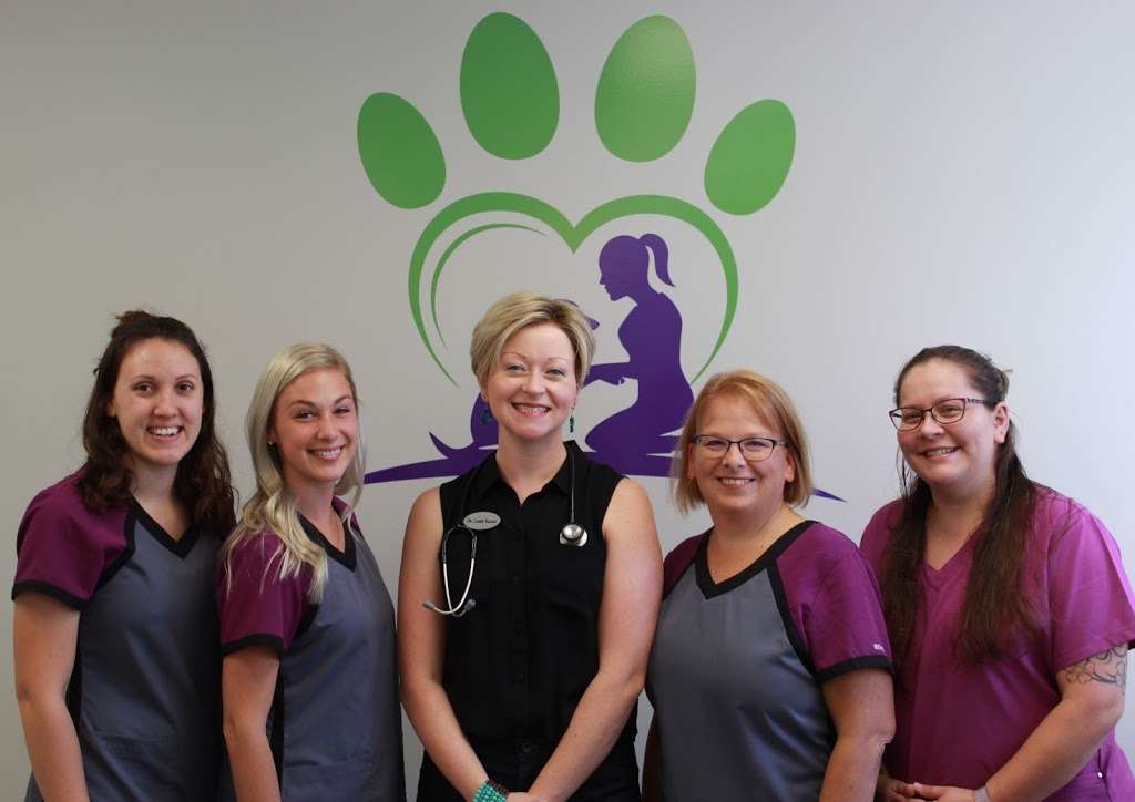 Healing Paws Animal Hospital | 3125 Nolt Rd, Lancaster, PA 17601, USA | Phone: (717) 455-3955