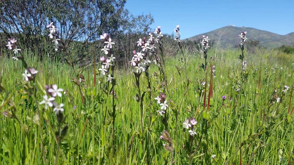 Proctor Valley, CA | Jamul, CA 91935, USA