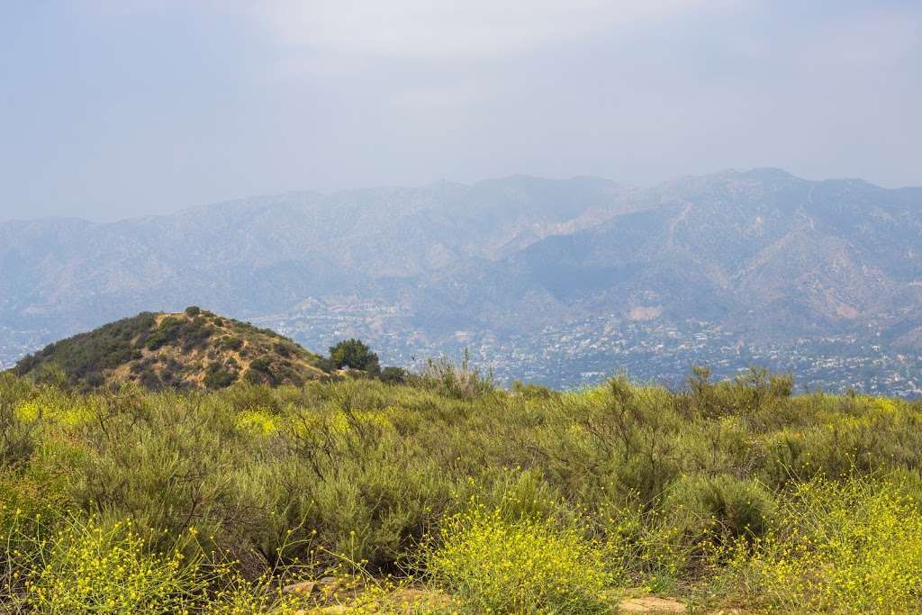 Griffith Park Observatory Trails Peak | 2715 N Vermont Ave, Los Angeles, CA 90027, USA