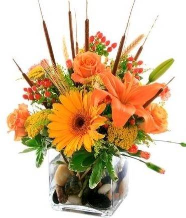 Cross Creek Florist & Gifts | 501 Courthouse Rd, Richmond, VA 23236, USA | Phone: (804) 378-0700