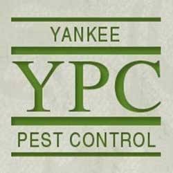 Yankee Pest Control | 20 Waite Ct, Malden, MA 02148, USA | Phone: (781) 397-9923