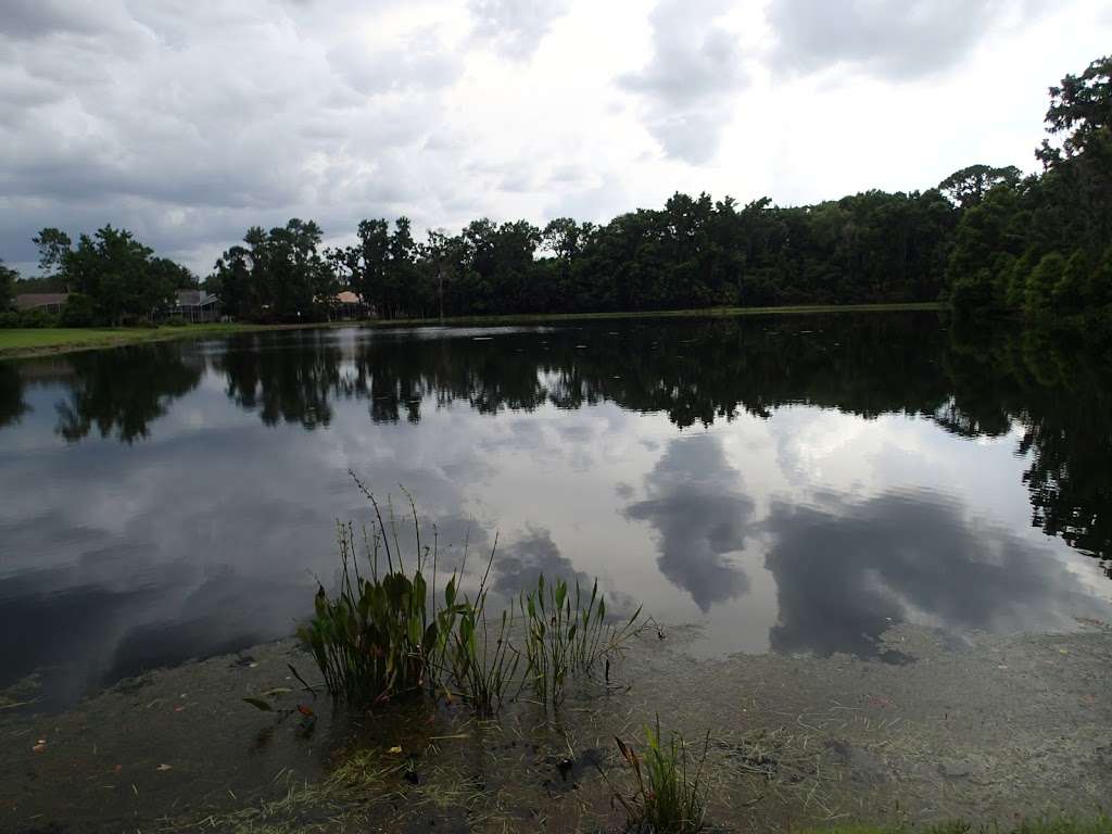 Sam Smith Memorial Park | 1562 Winter Springs Blvd, Winter Springs, FL 32708, USA | Phone: (407) 327-6597