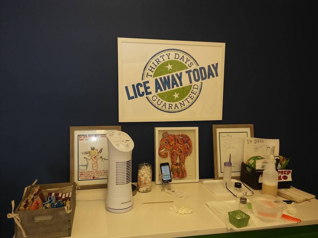 Lice Away Today | 4308 W El Prado Blvd, Tampa, FL 33629, USA | Phone: (813) 213-4470