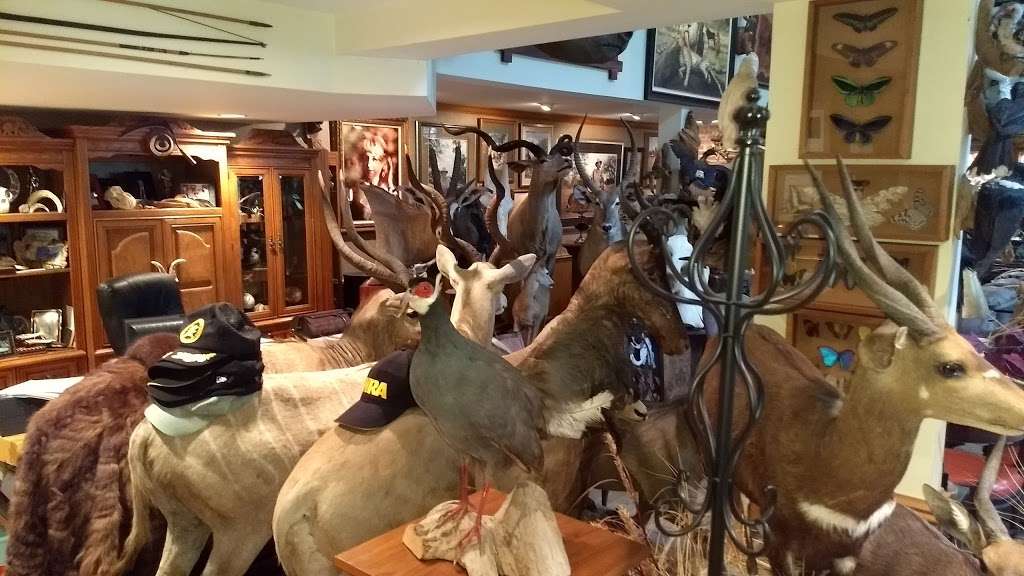 Old World Taxidermy | 724 S Plum Grove Rd, Palatine, IL 60067, USA | Phone: (847) 359-6938