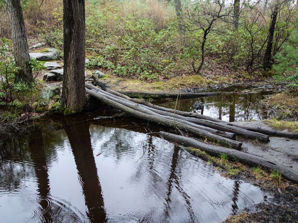 Surebridge Mountain | Tuxedo, NY 10975, USA