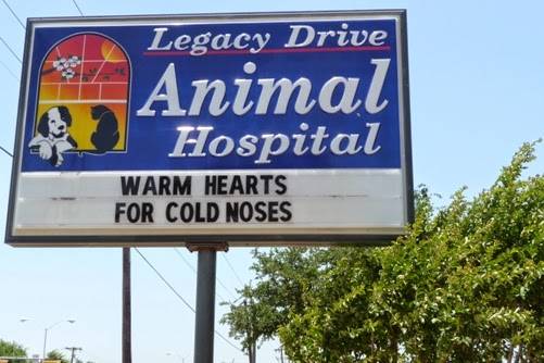 Legacy Drive Animal Hospital | 2117 Legacy Dr, Plano, TX 75023, USA | Phone: (972) 517-2828