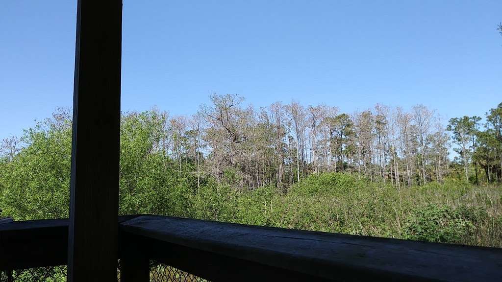 Dupuis Boardwalk & Observation Platform | Florida, USA