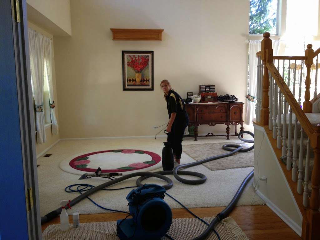 Horns Cleaning Services | 746 Sun Lake Rd, Lake Villa, IL 60046, USA | Phone: (847) 546-3747