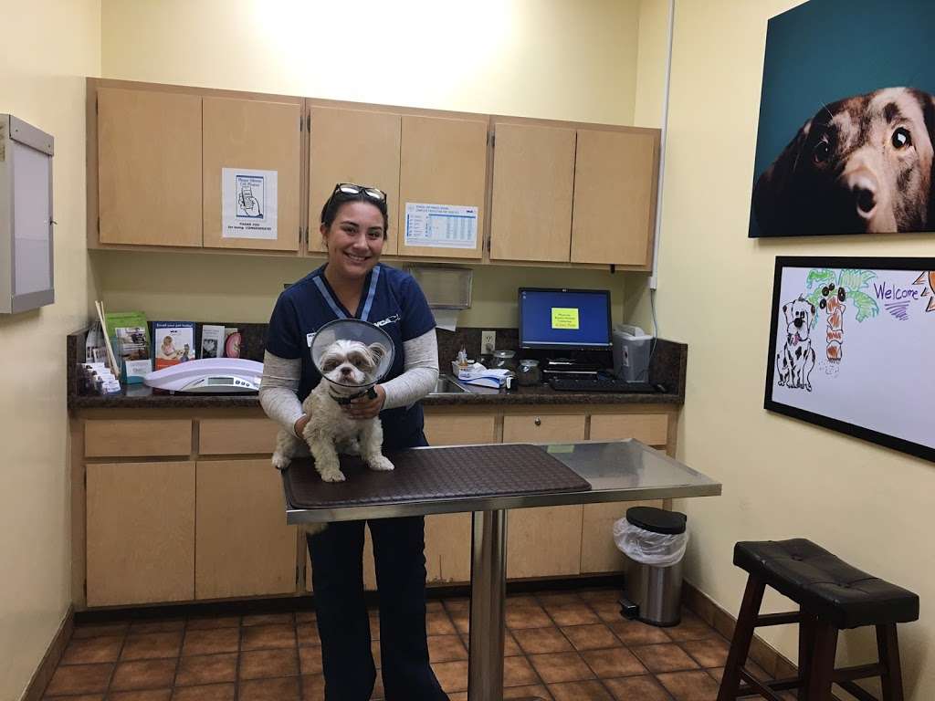 VCA Santa Anita Animal Hospital | 245 W Duarte Rd, Monrovia, CA 91016, USA | Phone: (626) 359-3281