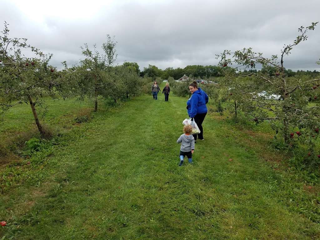 Harvest Time Orchards | 36116 128th St, Twin Lakes, WI 53181, USA | Phone: (262) 877-4831