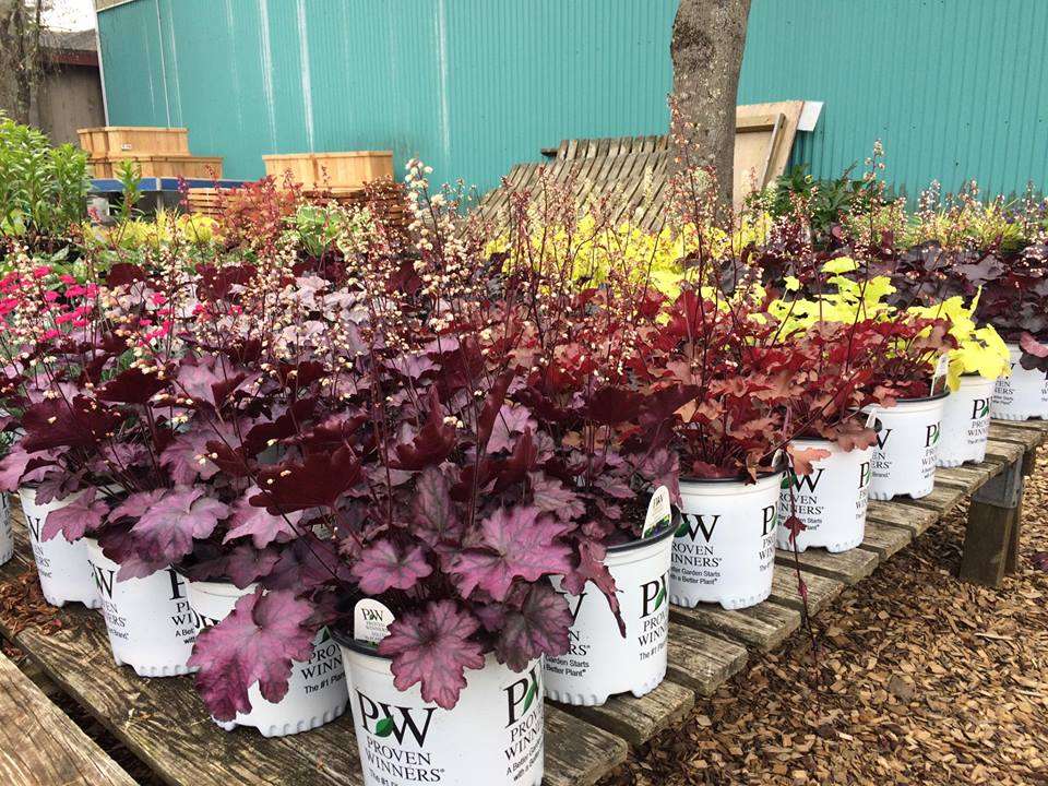 Wymans Garden Center | 1025, 141 Spring St, Hanson, MA 02341, USA | Phone: (781) 447-5400