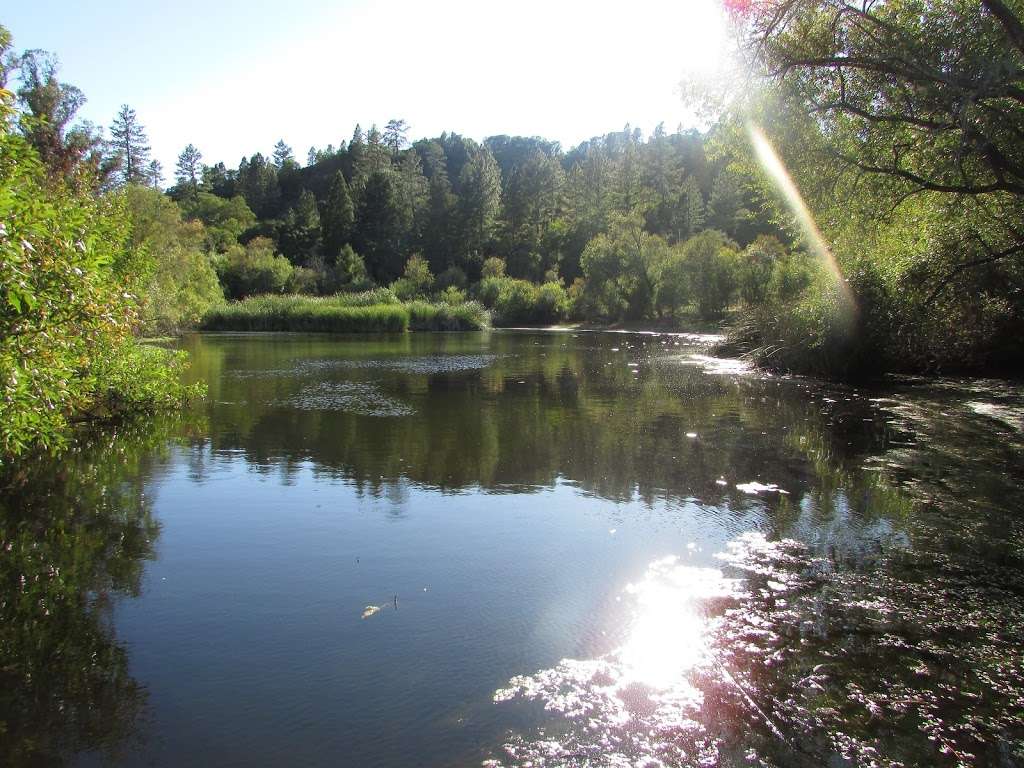 Quail Hollow Ranch County Park | 800 Quail Hollow Rd, Felton, CA 95018, USA | Phone: (831) 335-9348