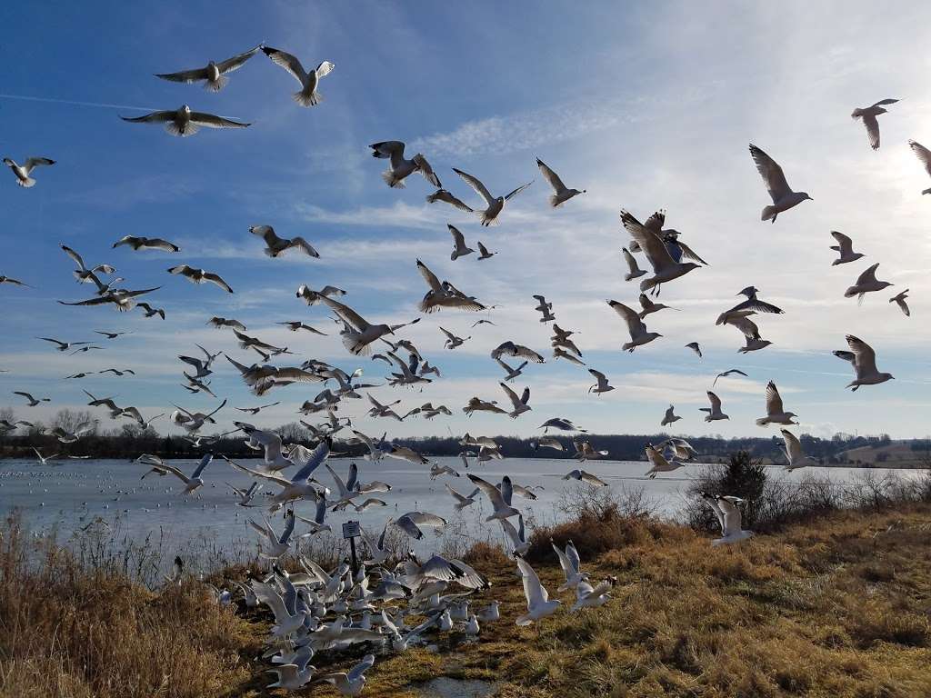 Church Road Bird Sanctuary | Church Rd, Pennsburg, PA 18073, USA