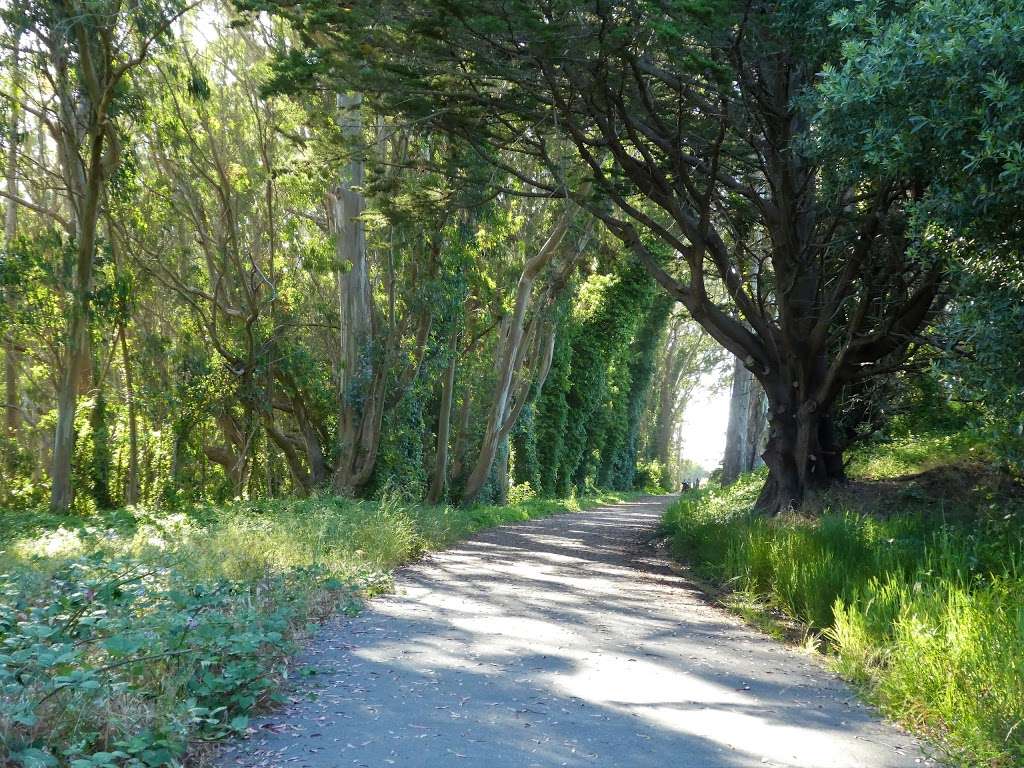 Old Guadalupe Ridge Trail | Old Guadalupe Trail, Daly City, CA 94014, USA
