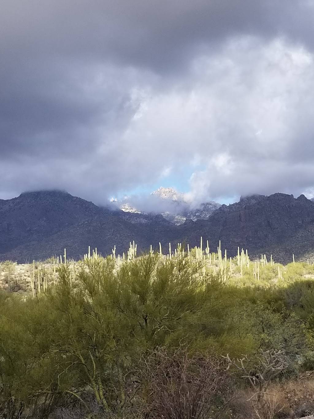 SABINO CANYON RECREATION AREA CACTUS RAMADA 2 | 5700 N Sabino Canyon Rd, Tucson, AZ 85750, USA | Phone: (520) 749-8700