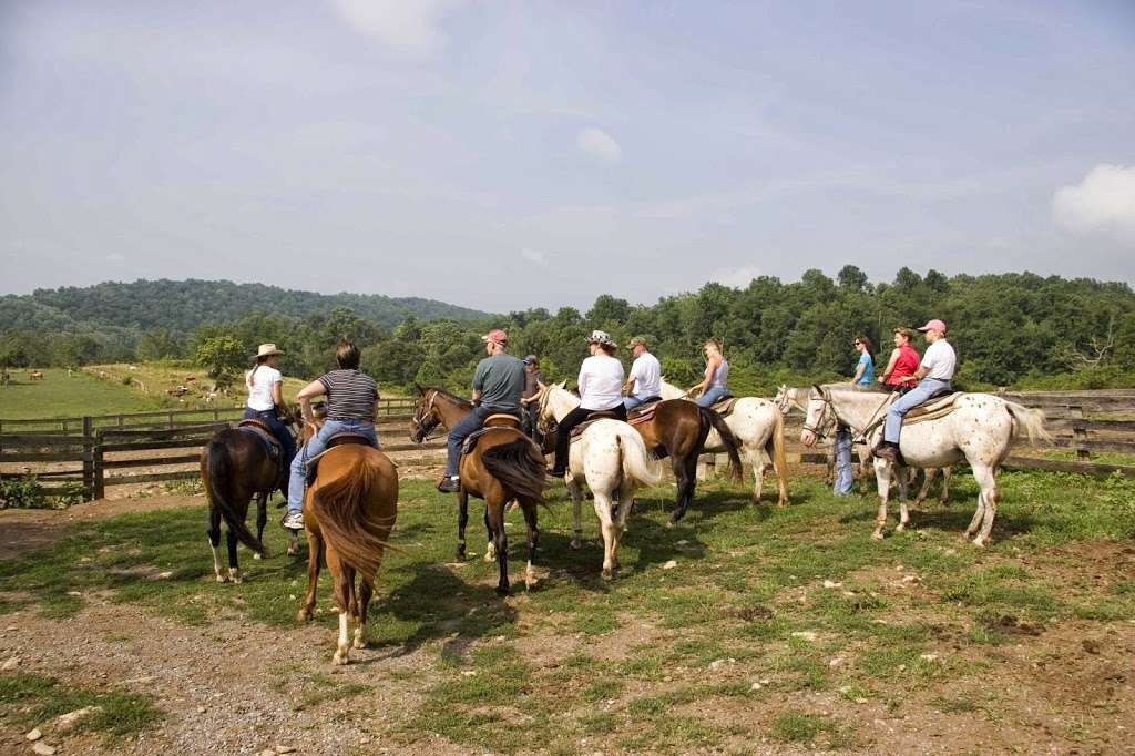 Marriott Ranch Trail Rides | 4439 Fiery Run Rd, Linden, VA 22642, USA | Phone: (540) 364-3741