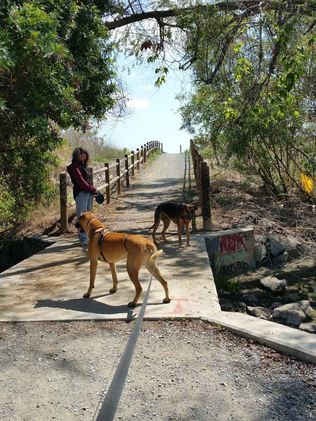 Otay Valley Regional Park Ranger Station | 2155 Beyer Blvd, San Diego, CA 92154, USA | Phone: (619) 424-0463