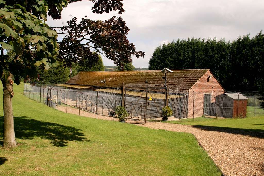 Crossways Kennels | Crossways Farm, Station Rd, Betchworth RH3 7DF, UK | Phone: 01737 842054