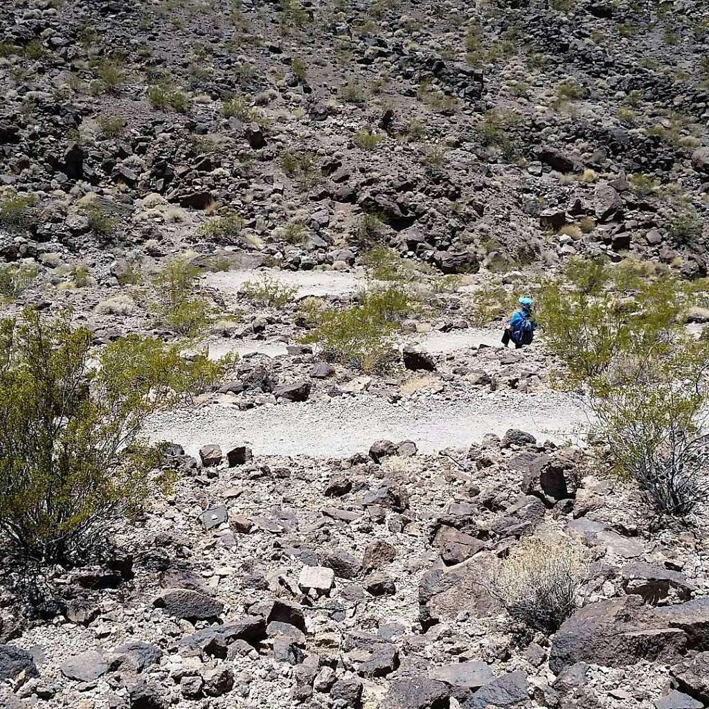 Amargosa Trailhead - Shaded Canyon | Shaded Canyon Dr, Henderson, NV 89012, USA