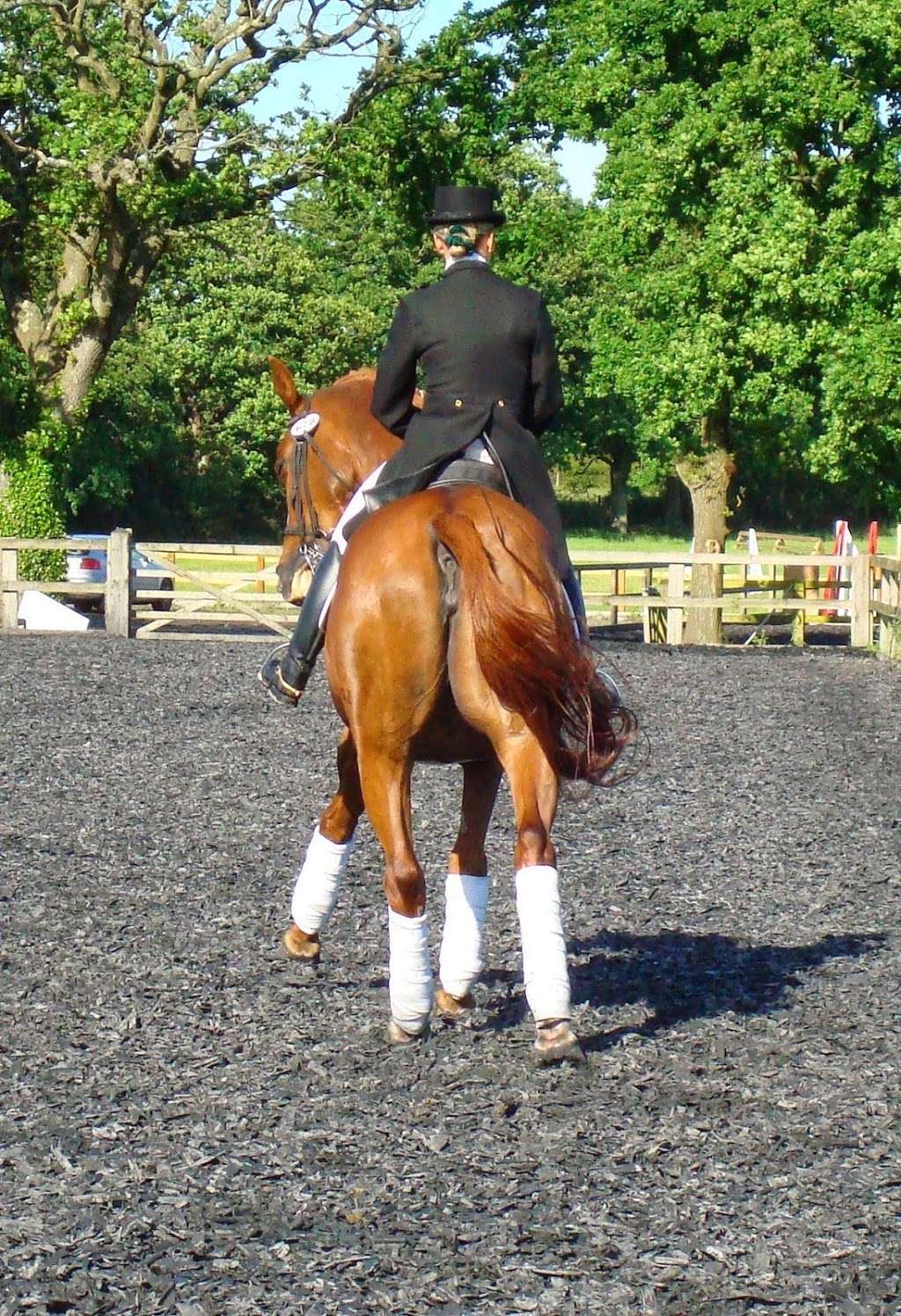 Sarah Williams Dressage | Yonder Farm, Orange Court Lane, Downe BR6 7JD, UK | Phone: 07956 369390