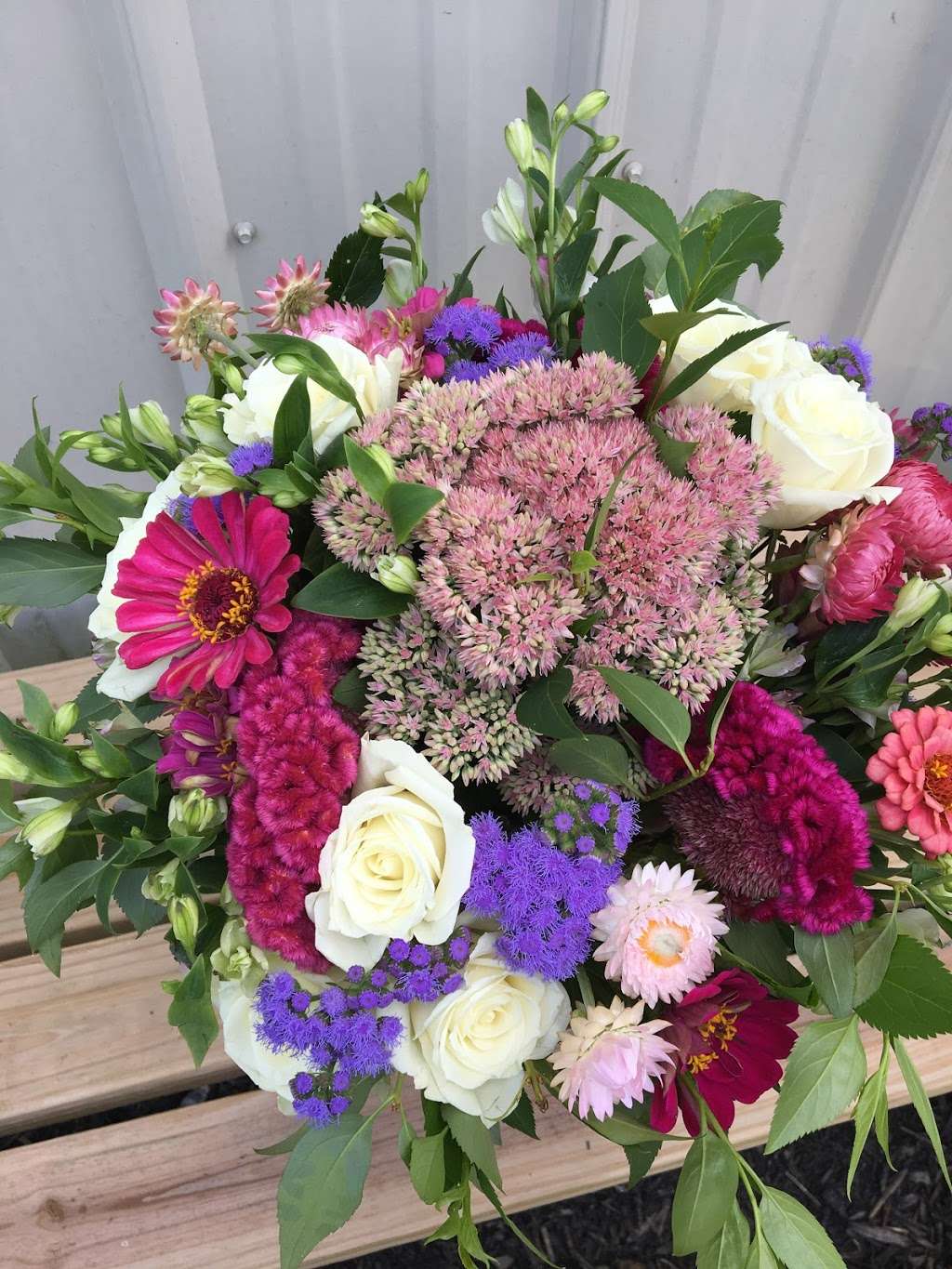 Freckled Flower Farm | 18065 Mountain Rd, Montpelier, VA 23192, USA | Phone: (804) 317-5231