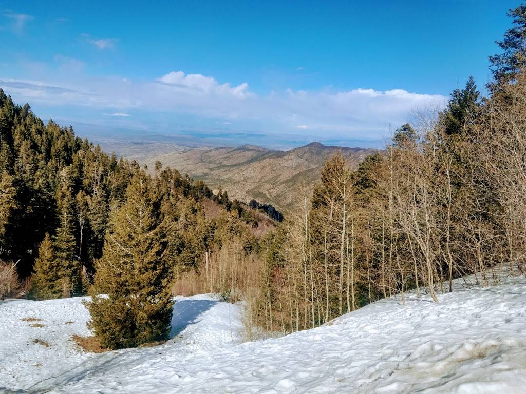 Iron Door | 10300 E Ski Run Rd, Mt Lemmon, AZ 85619, USA | Phone: (520) 576-1321